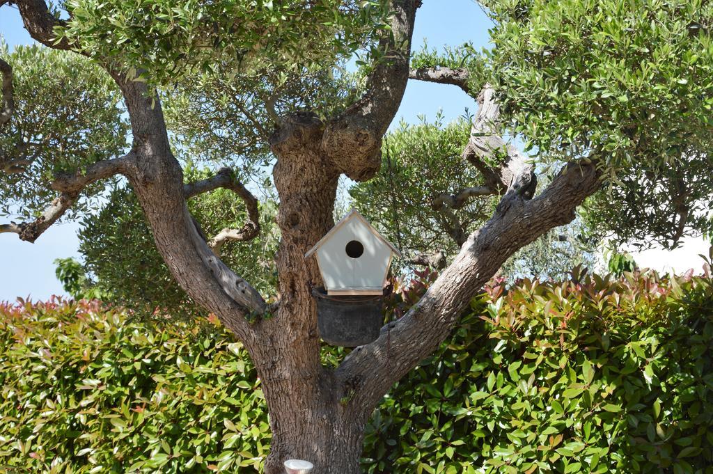 Casa Delle Rondini Panzió Alberobello Kültér fotó